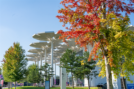 長城賞紅葉 音樂節狂歡 延慶2025雙節文旅活動預熱進行時