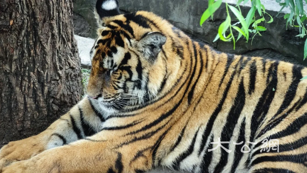 喜迎国庆 欢度中秋