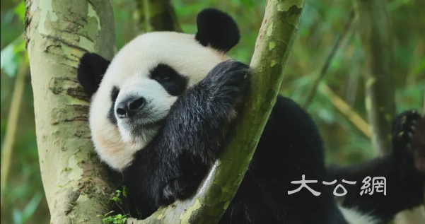 喜迎国庆 欢度中秋 | 开启“秋访冰城 见证山河”之旅⑥