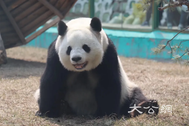 喜迎国庆 欢度中秋