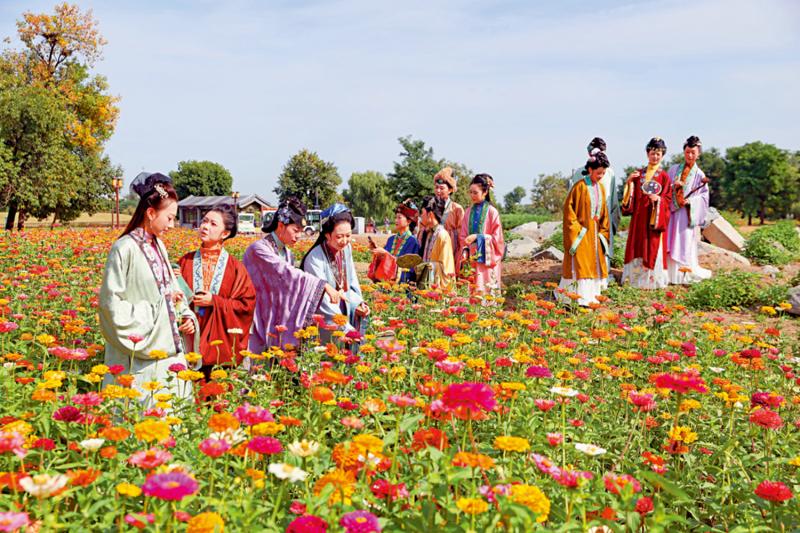 ﻿市井万象/圆明园金秋游