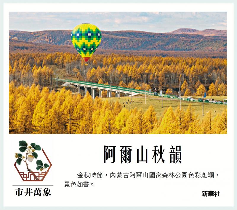 ﻿市井万象/阿尔山秋韵