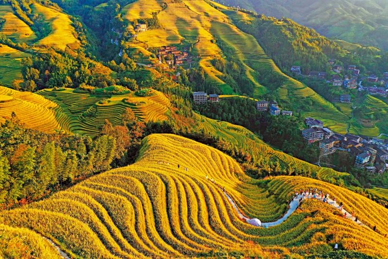 ﻿市井万象/龙脊梯田