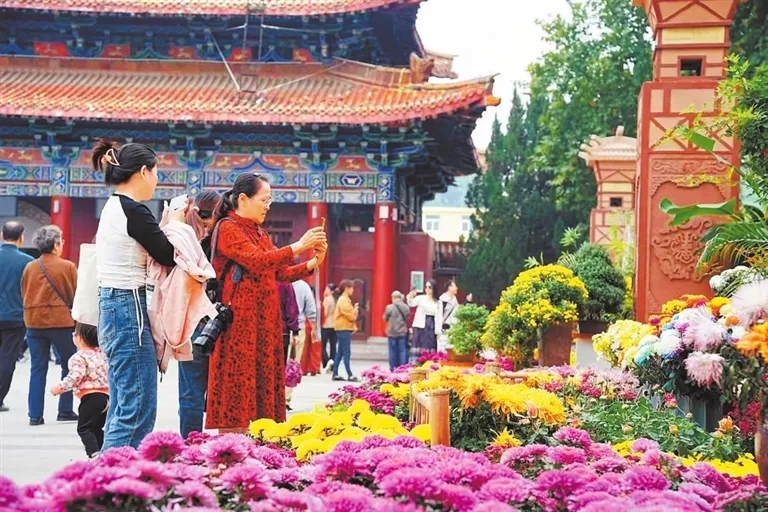 第十五屆中國菊花展覽會將在開封舉辦  將享規模宏大品種繁多花色精美菊花盛宴