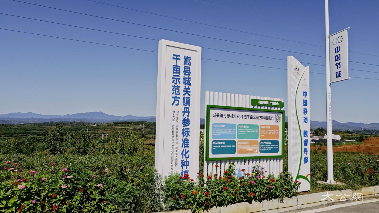 “移”起向新 数智兴农| 中国移动激活洛阳丹参产业“新引擎”