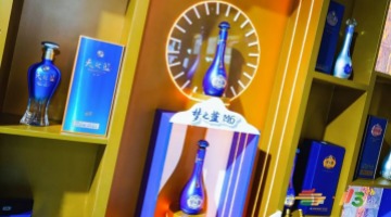 2025秋糖启航，洋河“绵柔浪潮”涌动金陵