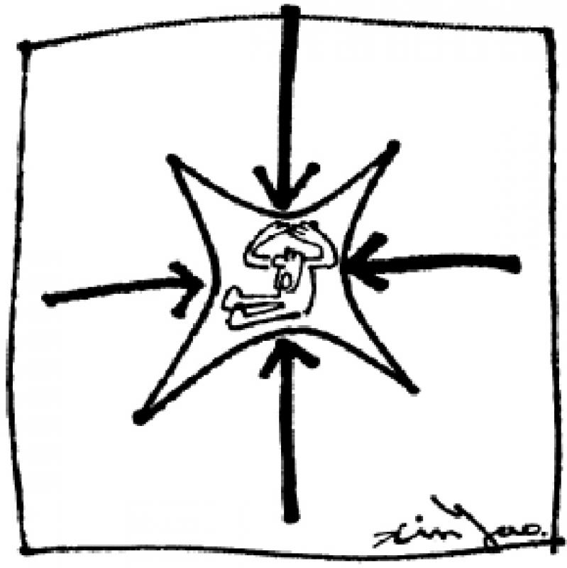 漫条思理\郑辛遥