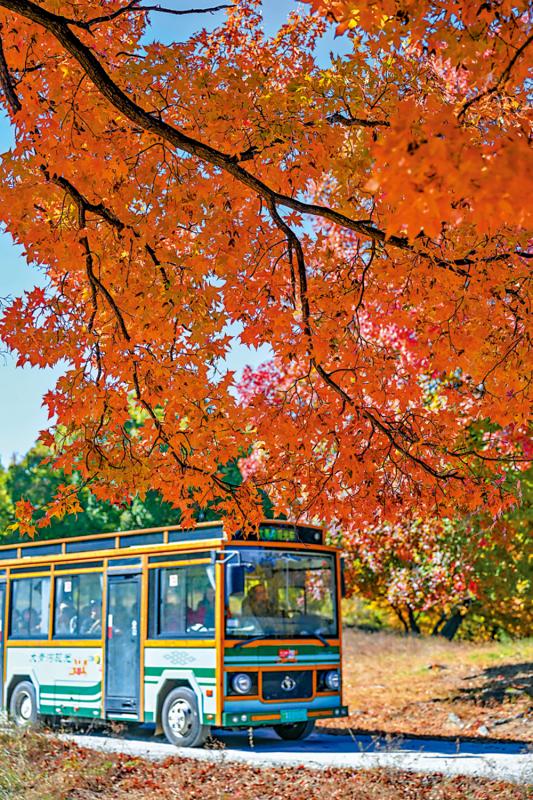 ﻿七日谈（吉林篇）/在秋天建筑我们的房子\任 白