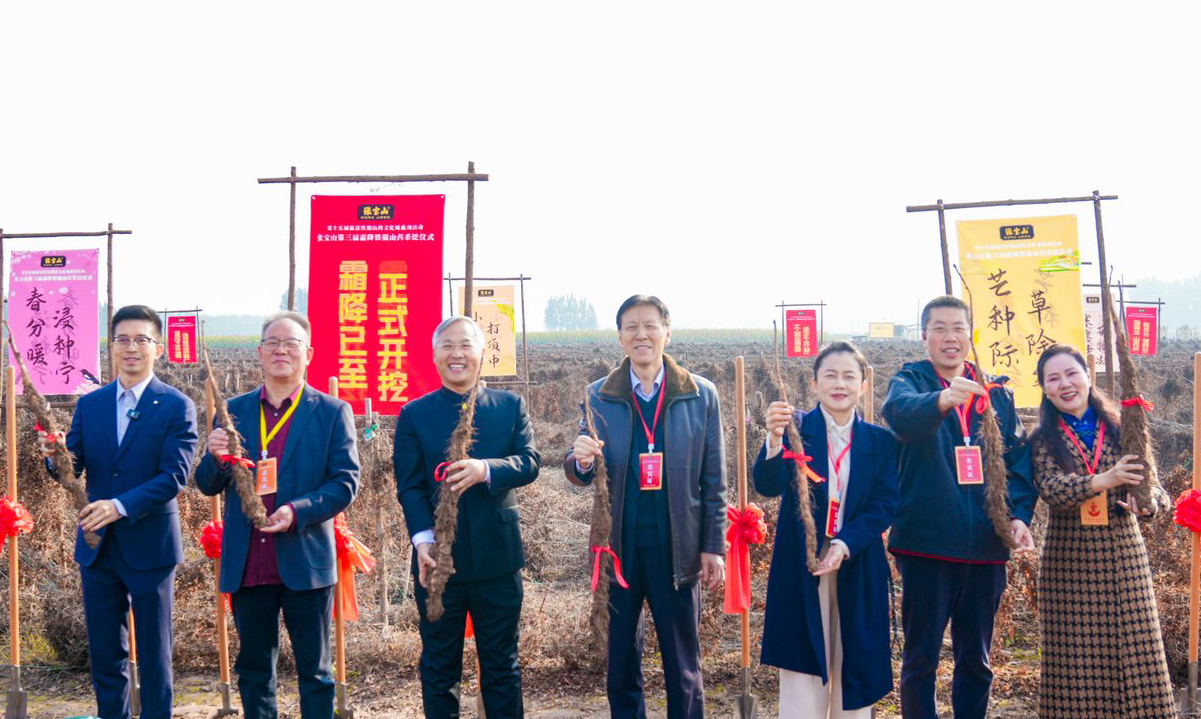 第三屆霜降鐵棍山藥採挖儀式舉行 致敬傳統非遺農耕文化