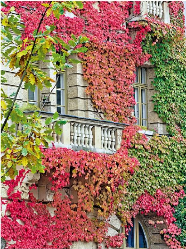 ﻿柏林漫言/柏林之秋\余 逾