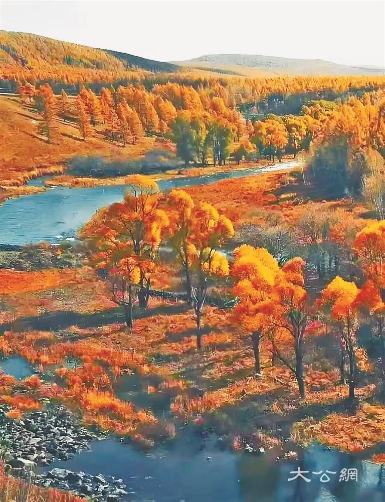 大亮子河的秋日画廊