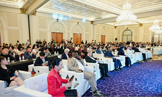 全球数字经济与品牌卓越峰会迪拜举办 MINAX携生态伙伴共探实体与数字融合新路径