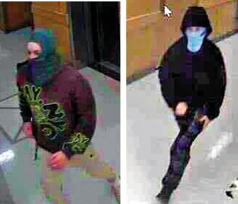 哈佛医学院突发爆炸 两蒙面嫌疑人在逃