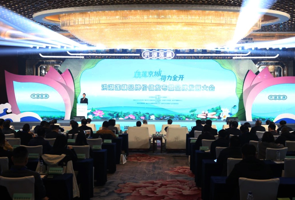洪湖莲藕品牌价值发布暨品牌发展大会在北京举行