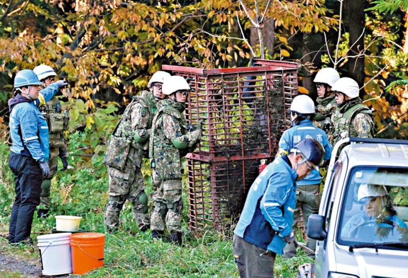 日本自卫队士兵进驻秋田县 协助捕熊
