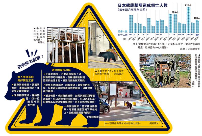 日本熊害频发 民众轰政府应对不力