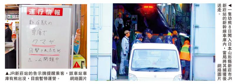 幼熊闯日本新干线车库 列车一度停驶