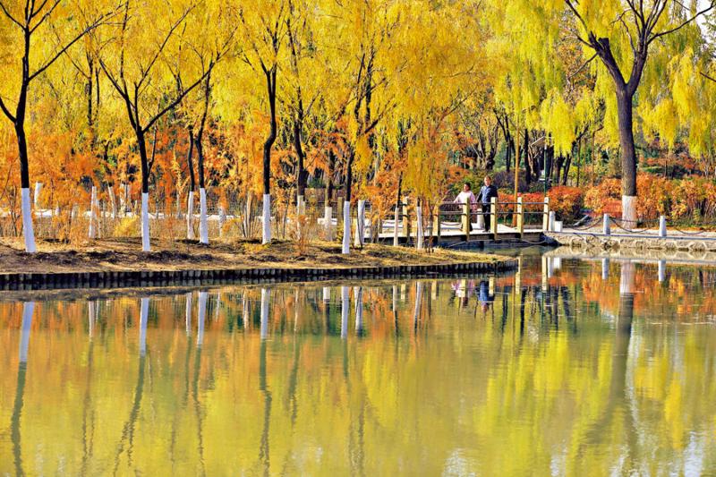 ﻿市井万象/碧涧流红叶