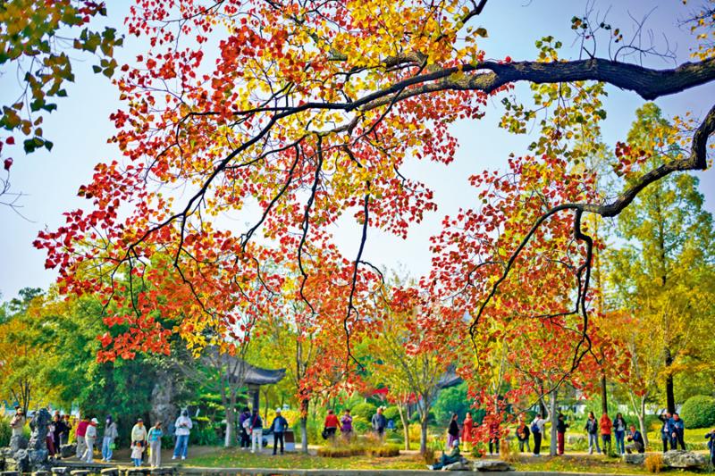 ﻿市井万象/诗意色彩