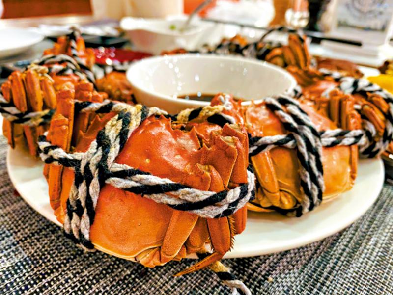 ﻿乐 活/与阳澄湖的一年一会\潘 少