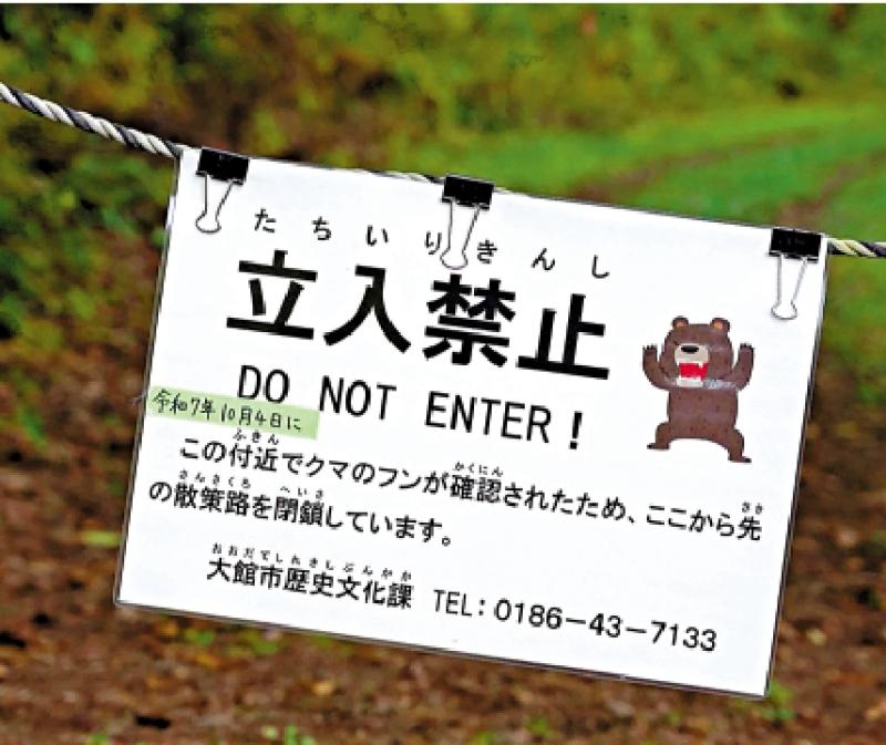 一日5人遭熊袭击 日本旅游业受冲击