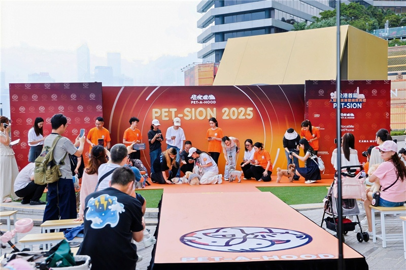 狗狗现场“打电话”？PetPhone【宠宠Pet疯Call】引爆香港，科技消除“跨物种数字鸿沟”