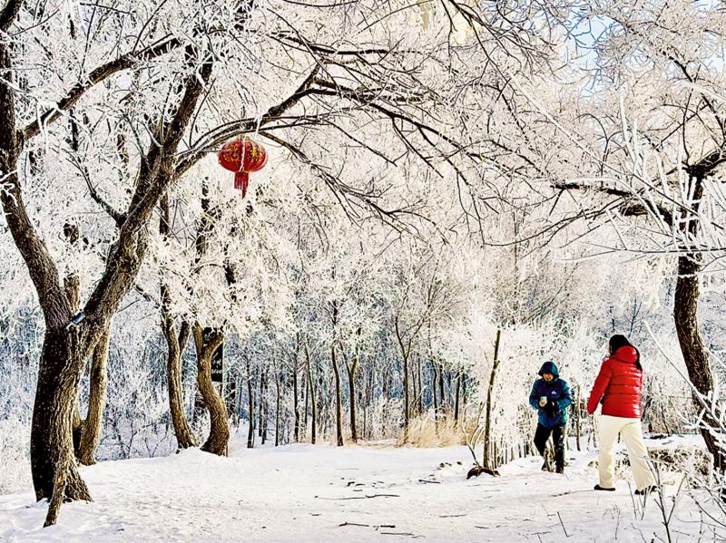 ﻿七日谈（吉林篇）/我将写出爱情在草籽里越冬的样子\任 白