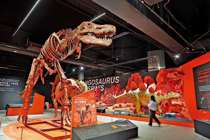 ﻿市井万象/“遇见白垩纪”