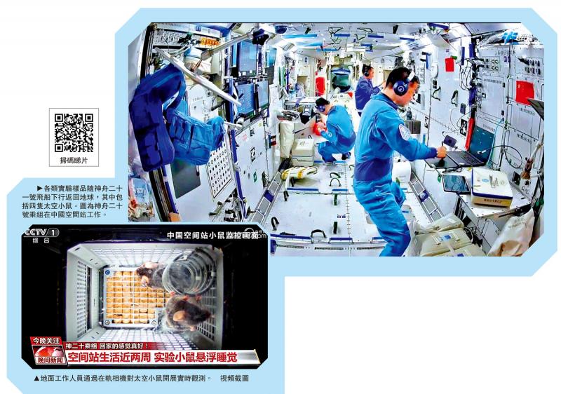 四小鼠“天宫加班” 科研含金量大增