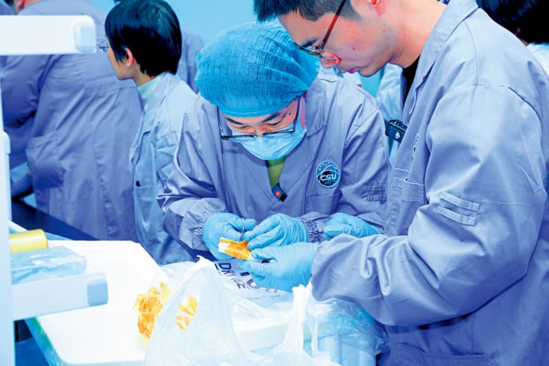 用途广泛/神二十实验样品 助研月球基地建材制备