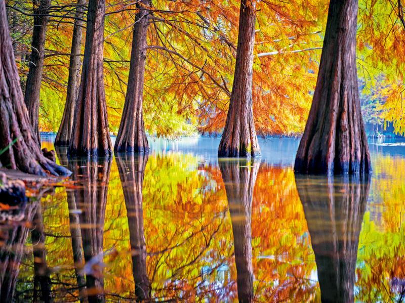 ﻿市井万象/初冬景如画