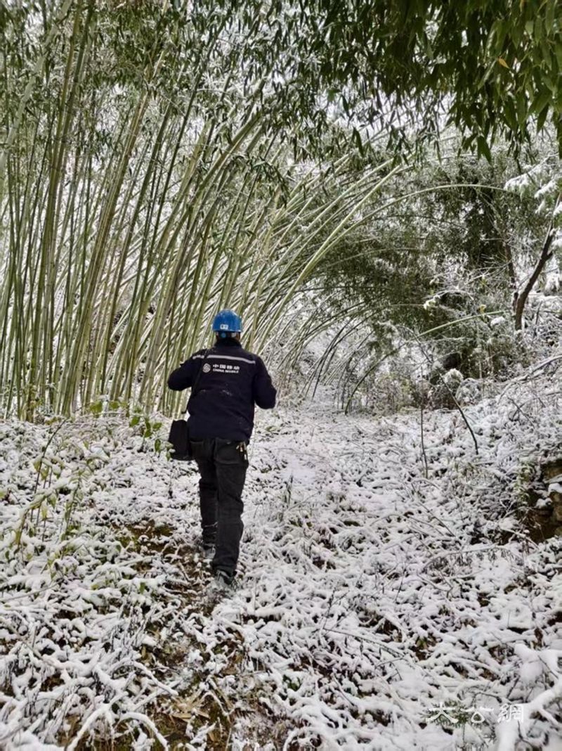 风雪砺初心 “移动蓝”织就豫西深山通信生命线