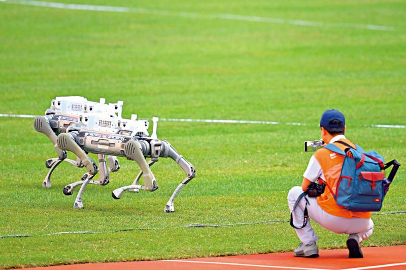 最快最萌机器狗 田径赛场最忙碌