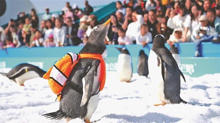 一只小书包背出300亿流量