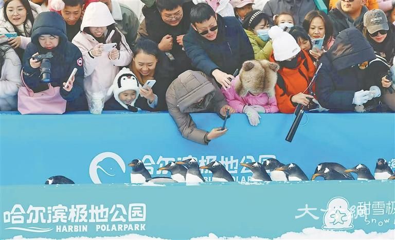 “淘学企鹅”最大规模巡游开启