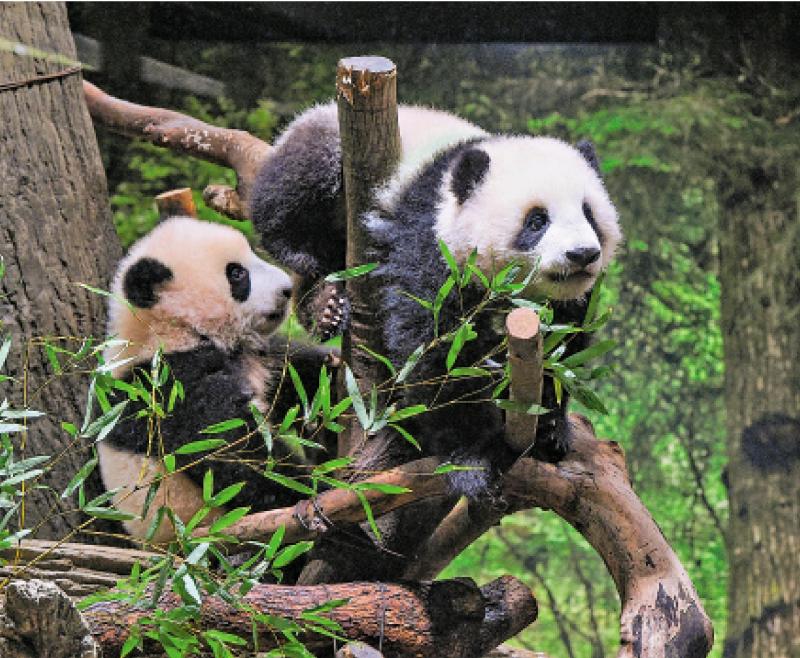 外交部重申：借台湾生事只会给日本找事