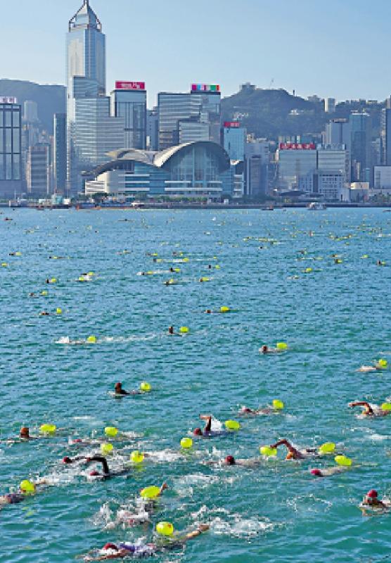 话你知/增设“同行者”组 泳手亲友齐畅泳