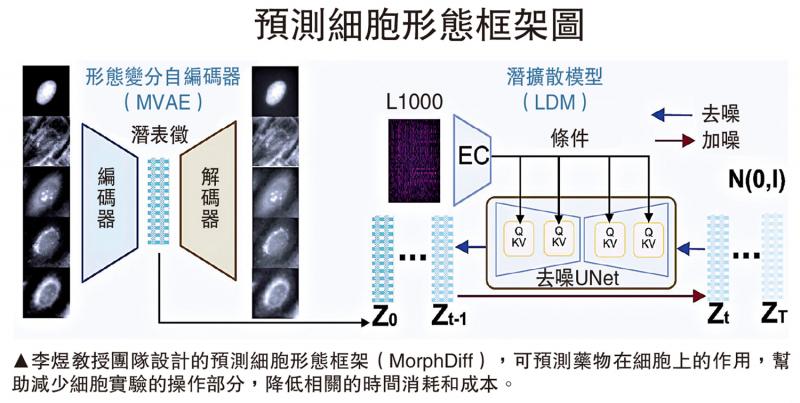 降低成本/用AI预测药物在细胞上的作用