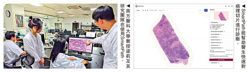 提速提效/快速分析病理切片 提供治疗建议