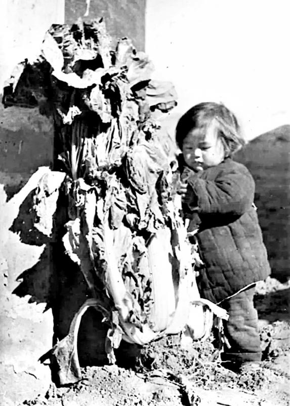 巩固抗日根据地和推进抗日民主运动