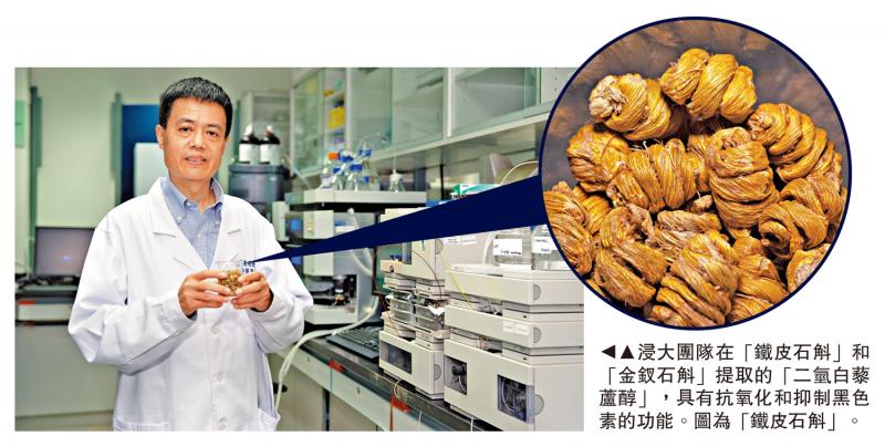 ﻿浸大发现石斛化合物护肤抗衰老