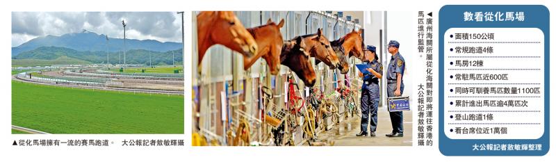 从化马场办速度赛马 打造文体旅新地标