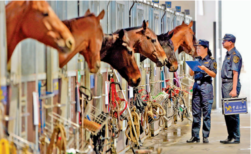 從化馬場辦速度賽馬 打造文體旅新地標