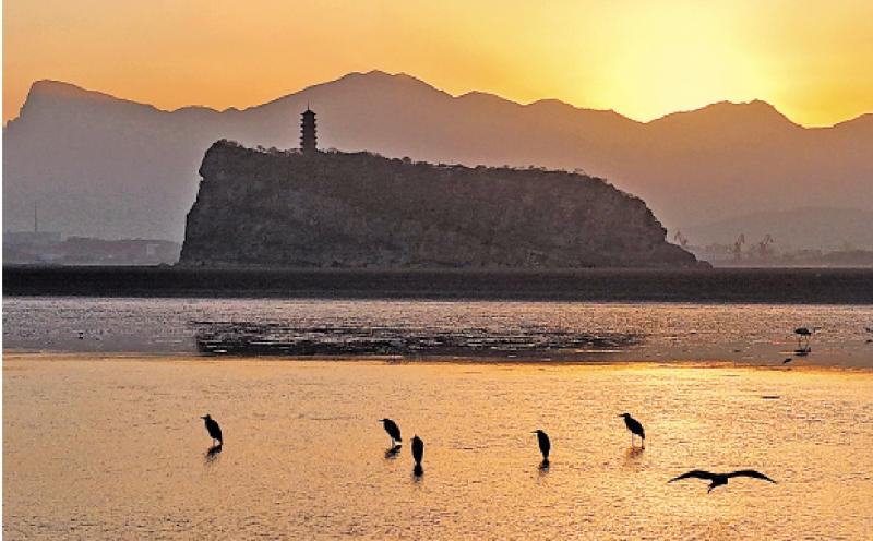 ﻿七日谈（海外篇）/烛光相照\吴 捷