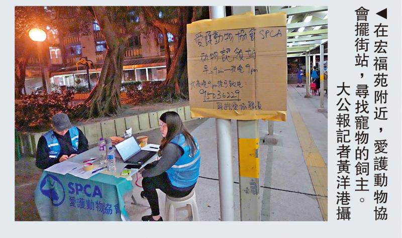 ﻿再救出三猫一龟　团体代动物寻主