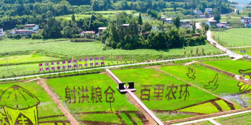 舍得酒业荣获“国新杯·ESG金牛奖百强”，以卓越实践彰显可持续发展标杆力量