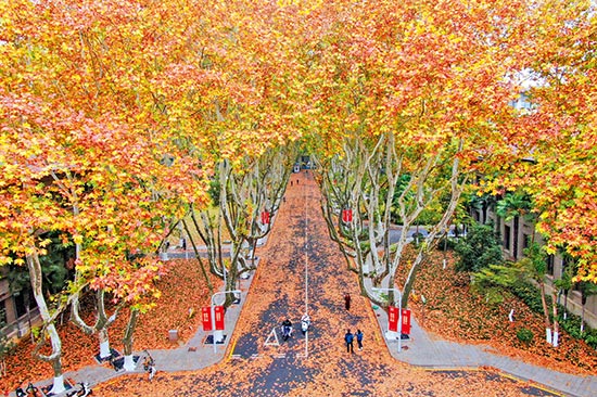 七日谈(北京篇)/为什么冬日里走进南京校园\叶 梅