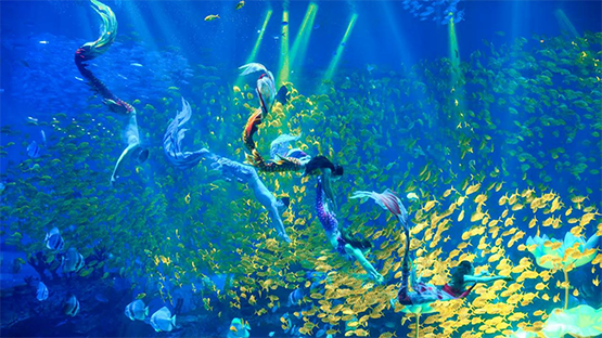 河南鄭州海昌海洋公園連續三年八項「金冠獎」加冕 詮釋高質量文旅發展新路徑