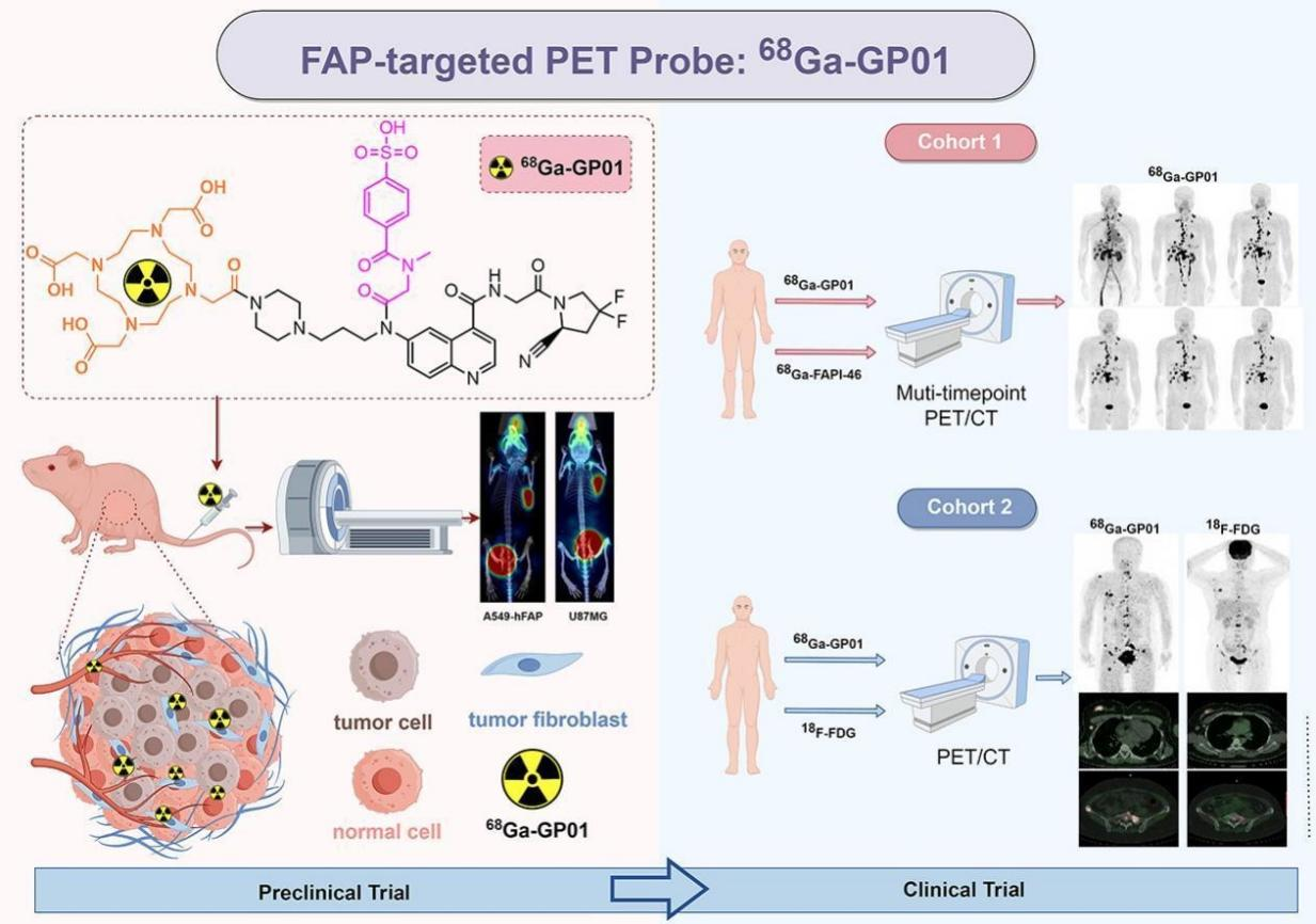 Go Global战略再添重要落子，远大医药FAP靶点自研核药美国临床获FDA批准树立出海标杆