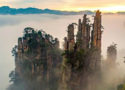 《阿凡達3》上映之際 張家界正式致信卡梅隆：請來現實版「潘多拉」